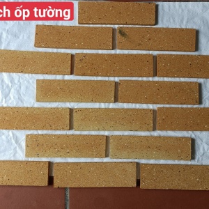 Gạch thẻ cổ (gạch cắt ) kt 230x65x13mm
